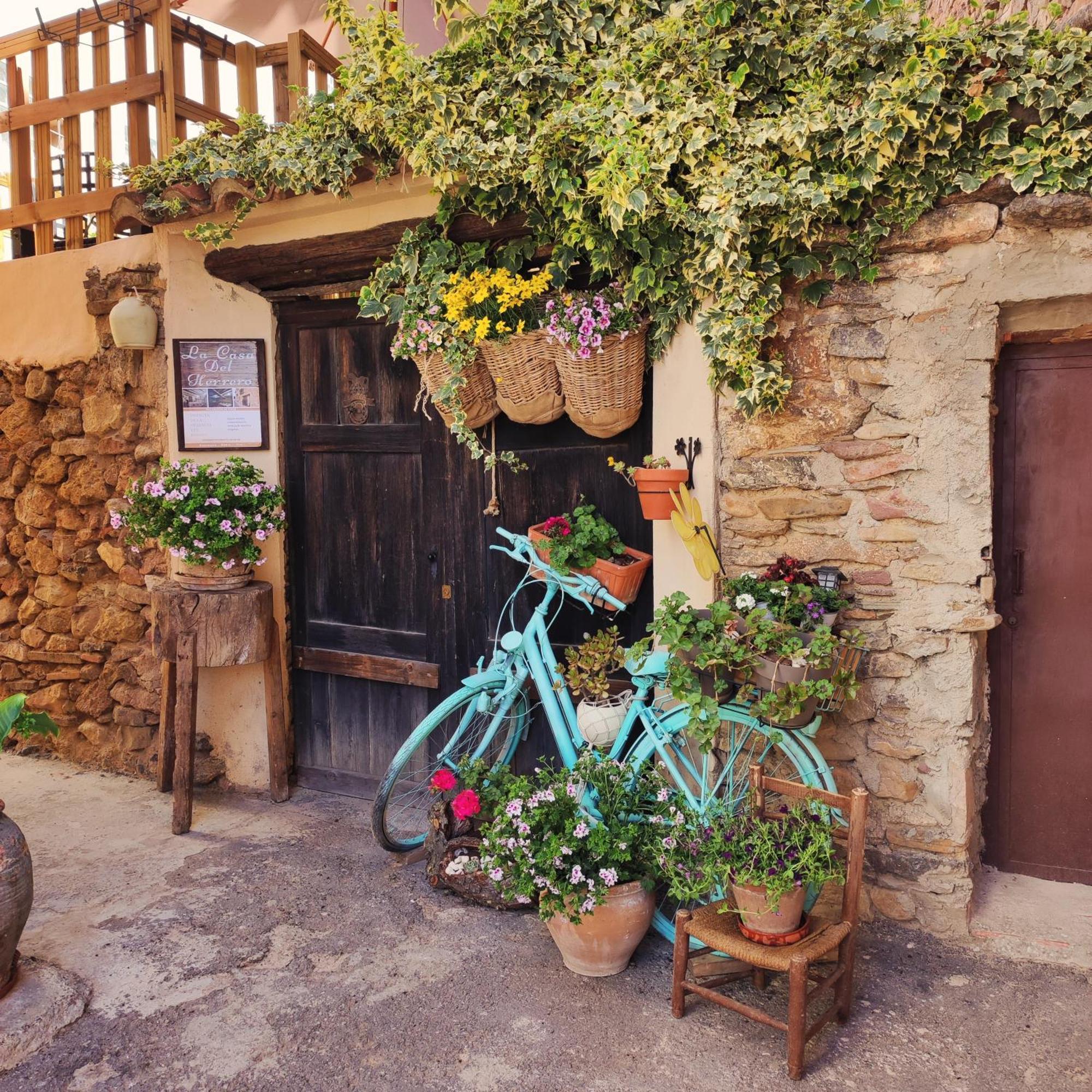 Villanueva de Viver Alcoba Con Patio Del Siglo XIXヴィラ エクステリア 写真